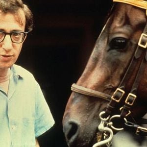 Foto Toma el dinero y corre