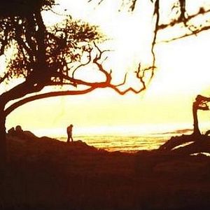 Foto Escalofrío en la noche