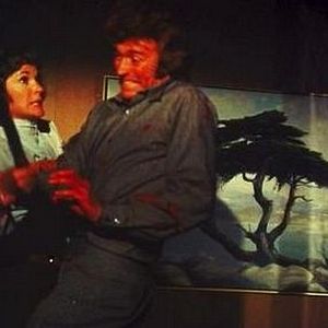 Foto Escalofrío en la noche