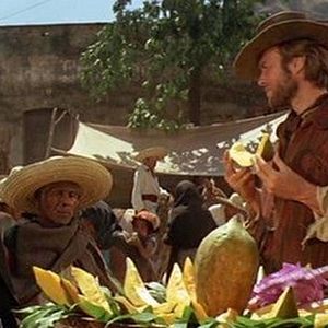 Foto Dos mulas y una mujer