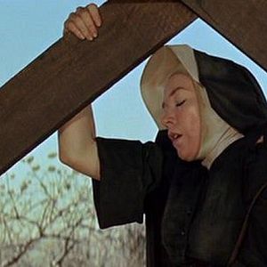 Foto Dos mulas y una mujer