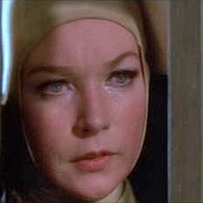 Foto Dos mulas y una mujer