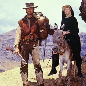 Foto Dos mulas y una mujer