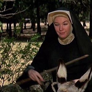 Foto Dos mulas y una mujer