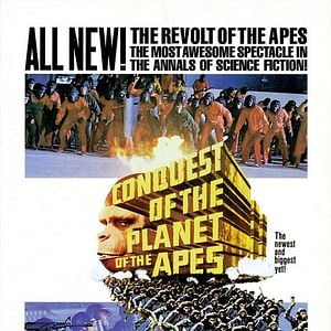 Foto La rebelión de los simios