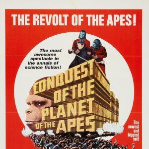 Foto La rebelión de los simios