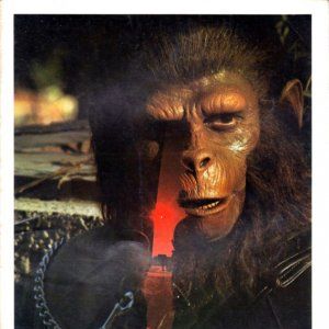 Foto La rebelión de los simios