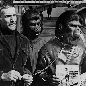 Foto La rebelión de los simios