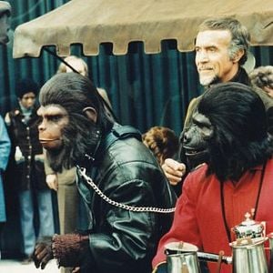 Foto La rebelión de los simios