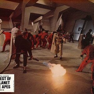 Foto La rebelión de los simios