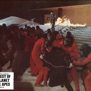 Foto La rebelión de los simios