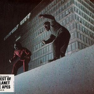 Foto La rebelión de los simios