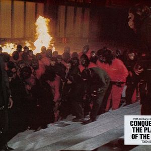 Foto La rebelión de los simios