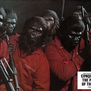 Foto La rebelión de los simios