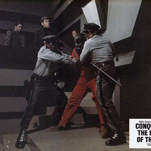 Foto La rebelión de los simios