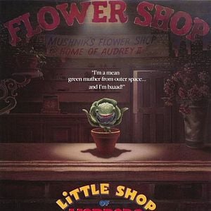 Foto La tienda de los horrores