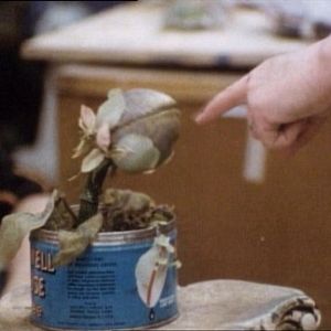 Foto La tienda de los horrores