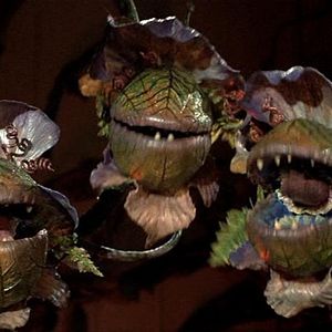 Foto La tienda de los horrores