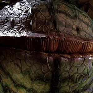 Foto La tienda de los horrores