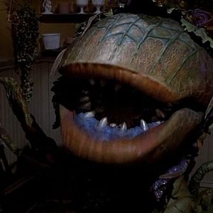 Foto La tienda de los horrores