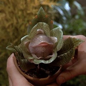 Foto La tienda de los horrores