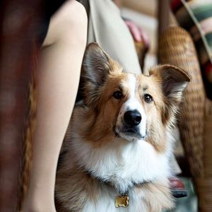 Foto ¡Por fin solos!