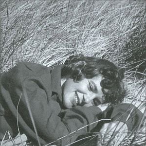 Foto Black Butterflies