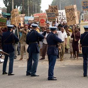 Foto Black Butterflies
