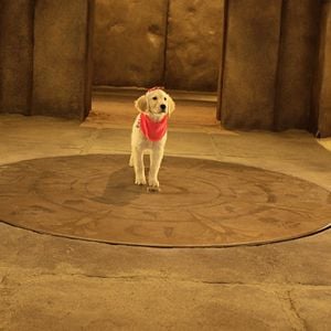 Foto Los buddies cazatesoros