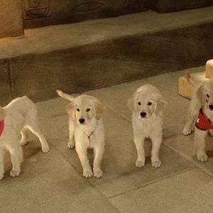 Foto Los buddies cazatesoros