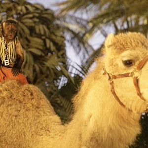 Foto Los buddies cazatesoros