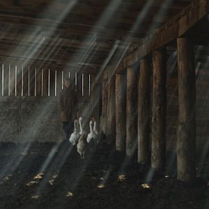 Foto ¡Vivan las Antipodas!