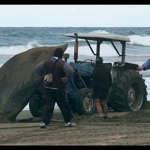 Foto ¡Vivan las Antipodas!