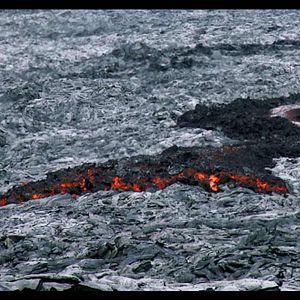 Foto ¡Vivan las Antipodas!