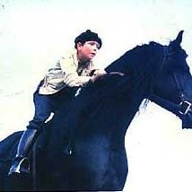 Foto El corcel negro