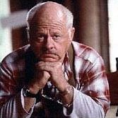 Foto El corcel negro