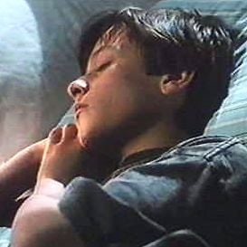 Foto Cementerio viviente dos