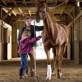 Foto Dreamer: Camino hacia la victoria