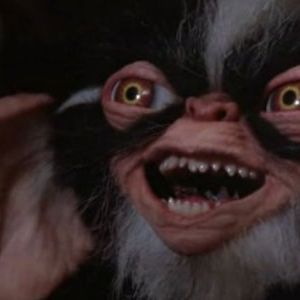 Foto Gremlins 2: La nueva generación
