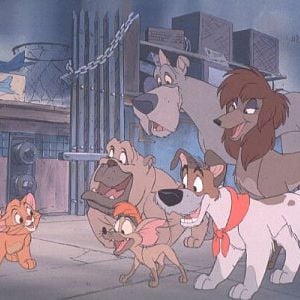 Foto Oliver y su pandilla