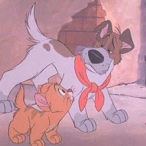 Foto Oliver y su pandilla