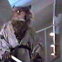 Foto Las Tortugas Ninja II: El secreto de los mocos verdes