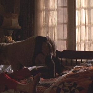 Foto Todo lo que siempre quiso saber sobre el sexo y nunca se atrevió a preguntar