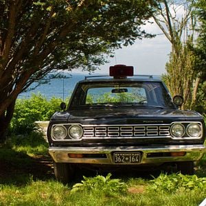 Foto Moonrise Kingdom