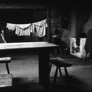 Foto The Turin horse