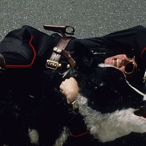 Foto Yo, Yo mismo e Irene