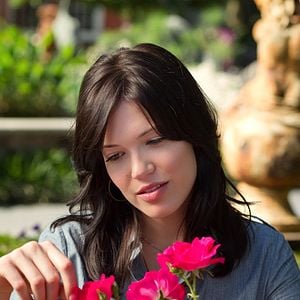 Foto Un plan para enamorarse (Amor, boda y matrimonio)