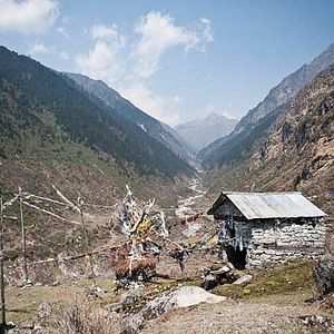 Foto Out of the Darkness