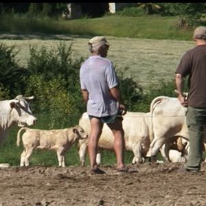 Foto République de la malbouffe