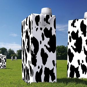 Foto République de la malbouffe